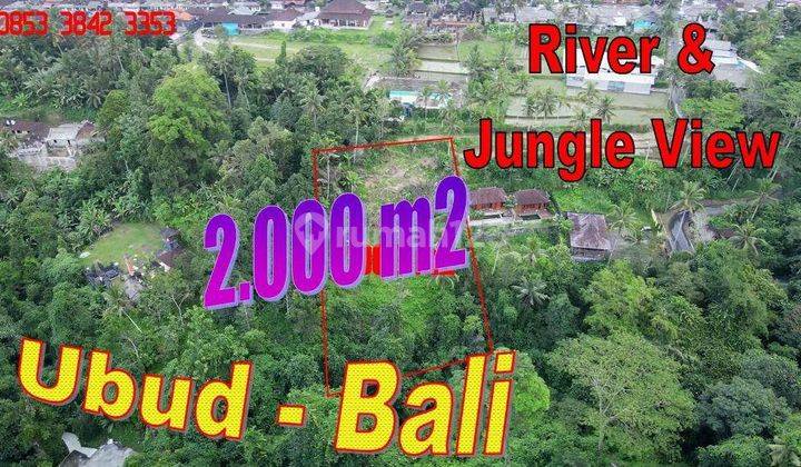 View Hutan Dan Tebing Tepi Sungai 2,000 M2 di Tegalalang Ubud 1