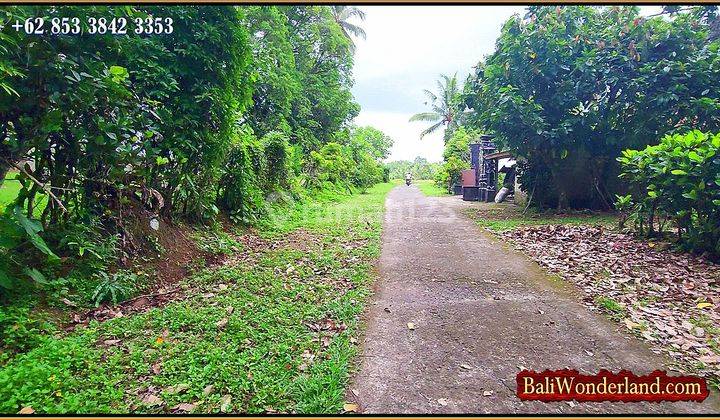 1,700 M2 Dry Riverfront Land for Sale Cheap in Penebel Area 2