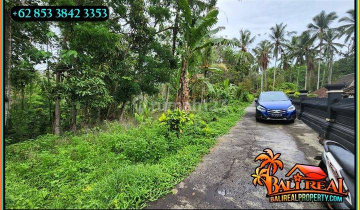 Cheap land for sale in Penebel, 32 acres with concrete road access 2