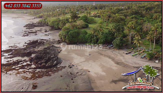 Land for sale 3.5 Ha Ngantong 5 minutes from the beach in Selbar 2