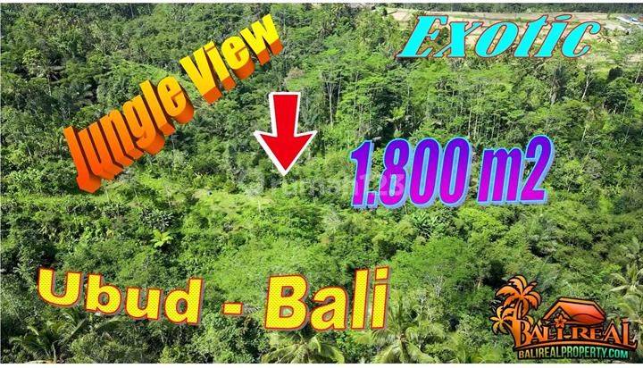 Potensial, 18.0 Are di Ubud Tegalalang Dekat Ceking Rice Terrace 1