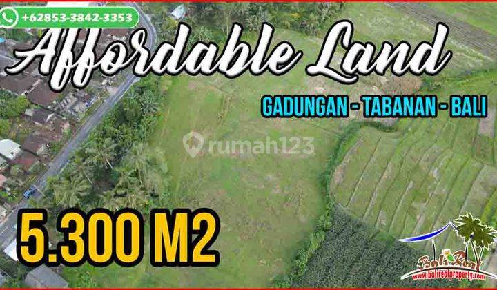 Strategis Area Gadungan 5,300 M2 View Sawah Dan Gunung 1