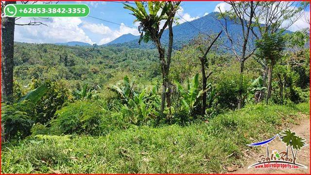 Mountain and Forest Views 14,000 M2 in Pupuan Tabanan 2