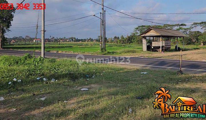 Ideal 6.0 Are Dijual Dengan Akses Jalan Pribadi Area Sukawati 2