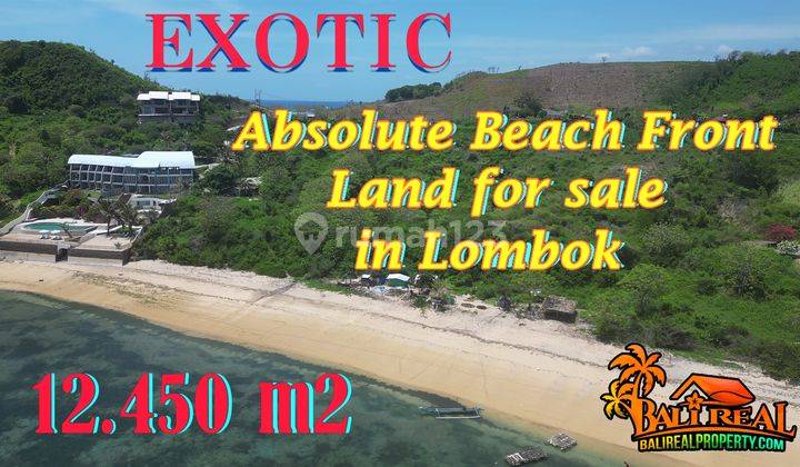 12.450 M2 Akses Langsung Ke Pantai Area Gerupuk, Lombok Tengah  1