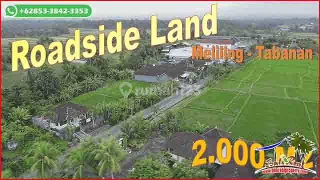 Prospective 20 Are View of Rice Fields and Mountains Surrounding Kerambitan Area 1