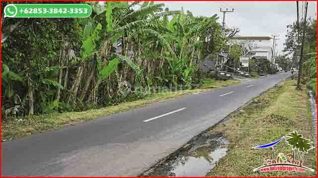 Prospective 20 Are View of Rice Fields and Mountains Surrounding Kerambitan Area 2