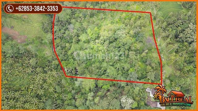 11,000 M2 Beautiful Land with a Waterfall in the Penebel Area 2