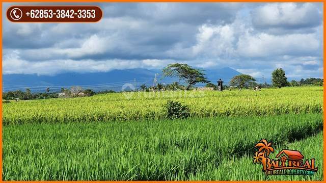 Strategis 42 Are View Sawah Dan Gunung Dekat Pantai 2