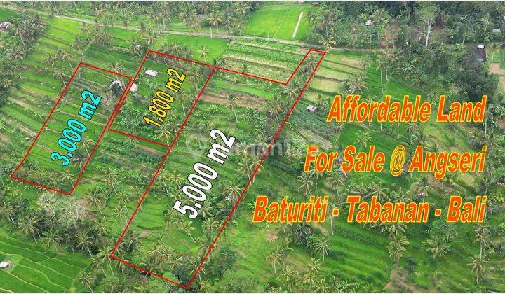 5.000 M2 Contour Box Shape Slope For Sale Cheap Angseri Area 2