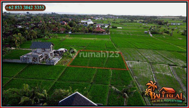 Tanah Sawah Aspek Perumahan 10 Are Strategis di Kediri Tabanan 2