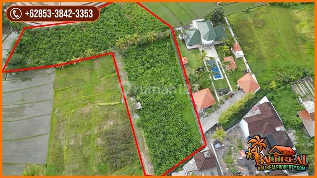 5,000 M2 Semi L Ngantong Land in Kediri Tabanan 1