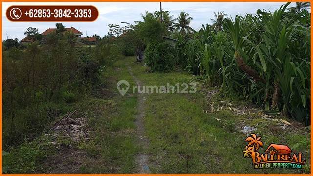 5,000 M2 Semi L Ngantong Land in Kediri Tabanan 2