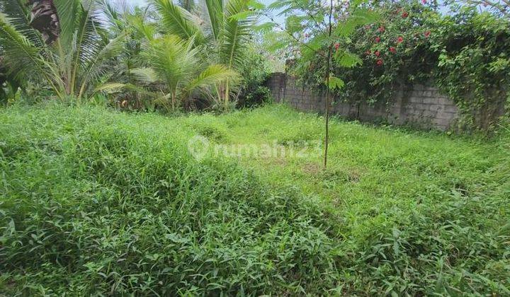 740 M2 Dominantly Flat Garden Land Suitable for Residential Houses 2