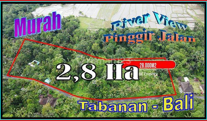 Garden Land 2.8 Ha Tabanan Marga Area Side of Asphalt Road 1