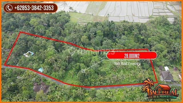 Garden Land 2.8 Ha Tabanan Marga Area Side of Asphalt Road 2