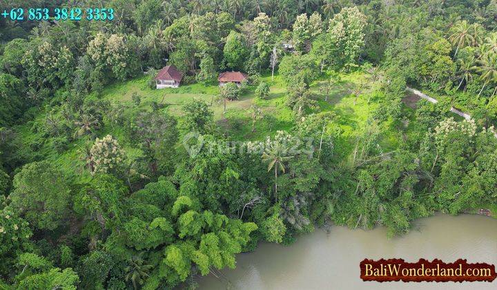 View of the 10,700 M2 Telaga Tunjung Dam in Penebel Tabanan 2