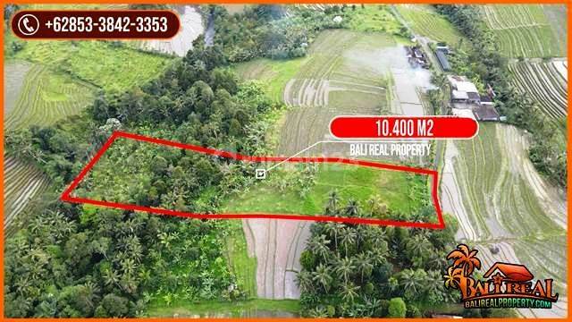 10,400 M2 Garden Land Near Waterfall Amazing View 2