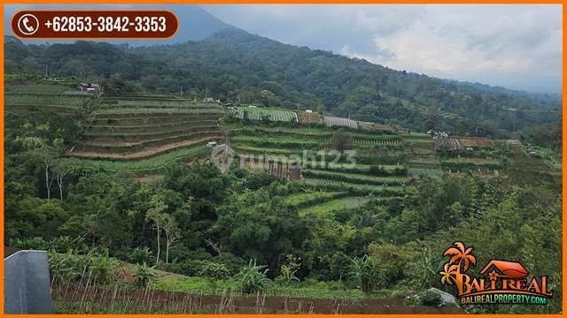 The land of Ngantong Garden has a sloping contour in the Bedugul Tabanan area 2