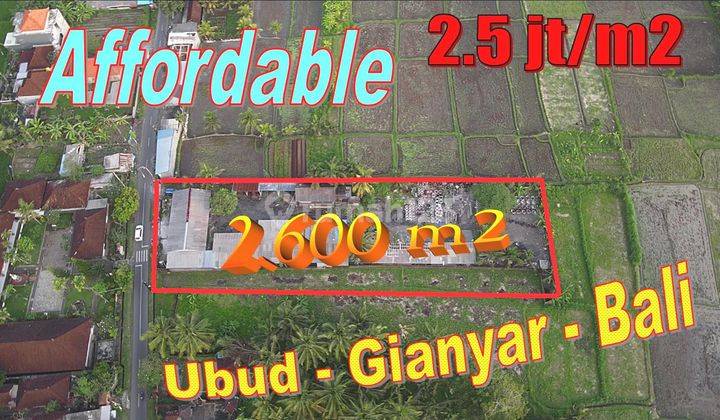 Area Blahbatuh Ubud 2,600 m2 dgn Akses Aspal 6 Meter 1