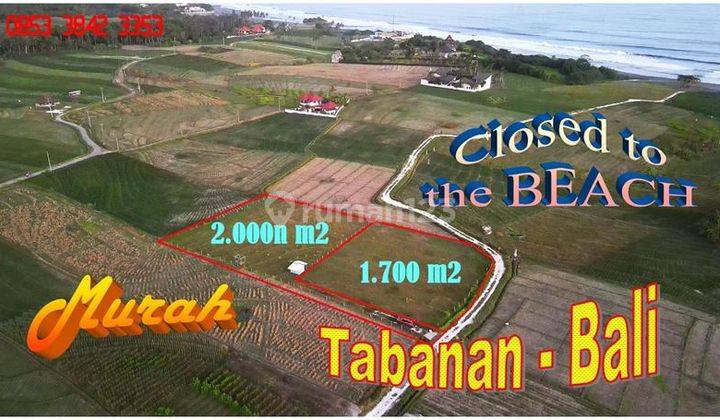 Dijual Tanah Sawah 20 Are dekat Pantai dengan View Gunung 1