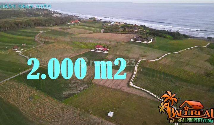 Dijual Tanah Sawah 20 Are dekat Pantai dengan View Gunung 2