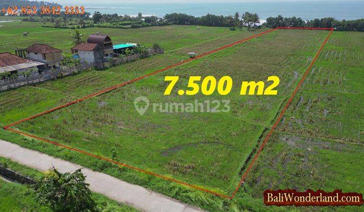 Tanah Tepi Pantai di Bali Barat Jembrana Dijual Sangat Murah 2