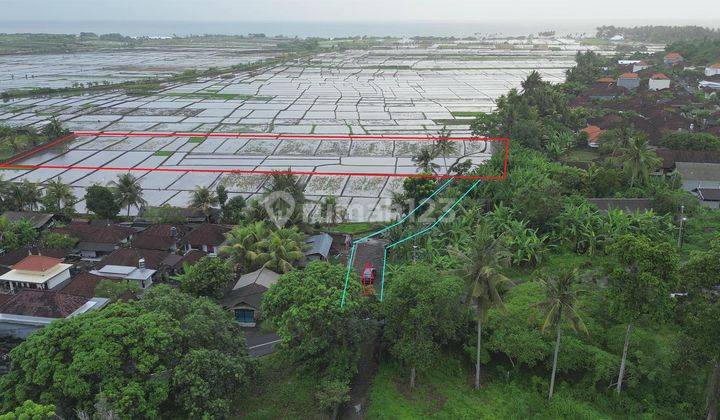 5,850 m2 Tanah Sawah Akses Jalan Pribadi dekat Pantai Pasut 2