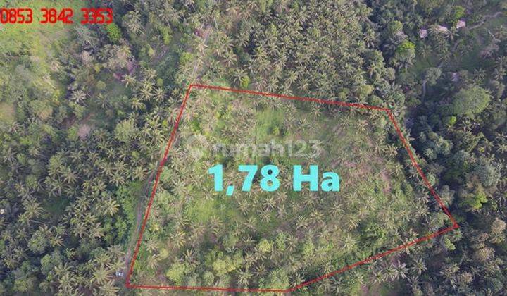 Tanah Kebun Landai Menurun 17,800 m2 di Selemadeg Timur 2