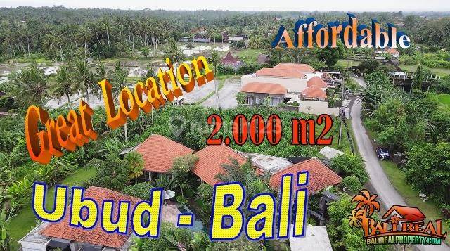 Potensial, 20.0 are di Sukawati View Sawah Lingkungan Villa 1