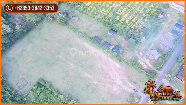 Dijual Murah ! Tanah Kebun Datar Pinggir Jalan di Jembrana 2