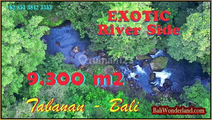 View Hutan dan Tebing Sungai 9,300 m2 di Marga Tabanan  1