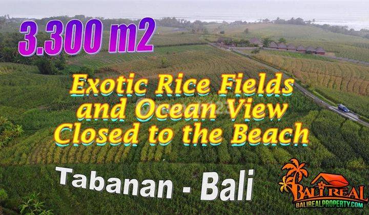 3,300 m2 Corn Farm Land near Kelecung Beach Tabanan 1