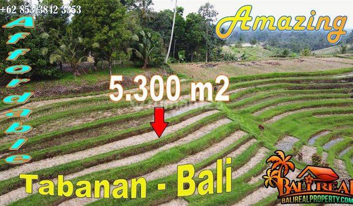 Dijual Tanah Kebun dan Sawah area Penatahan View Cantik 1