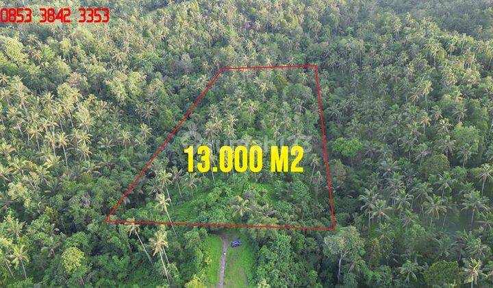 Dry land 12,980 m2 in Penebel Tabanan Village Road Access 2