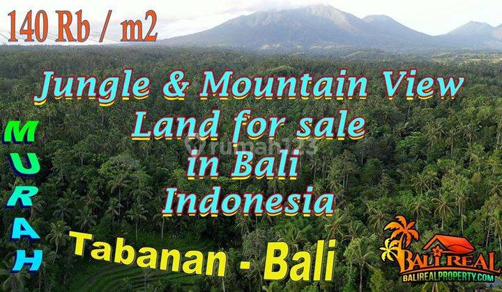 Dry land 12,980 m2 in Penebel Tabanan Village Road Access 1