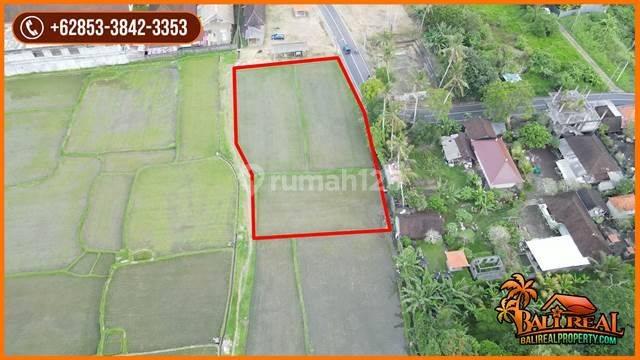 Strategis 20.0 are View Sawah dan Gunung area Ubud Sukawati 2