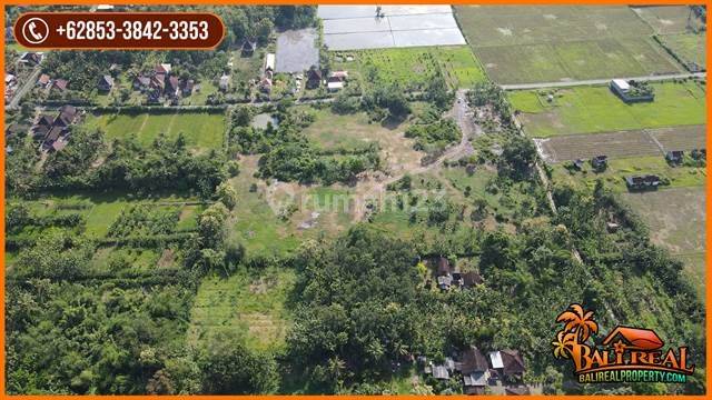 For sale large area of 24,490 m2 dry land ready to build in Jembrana 2