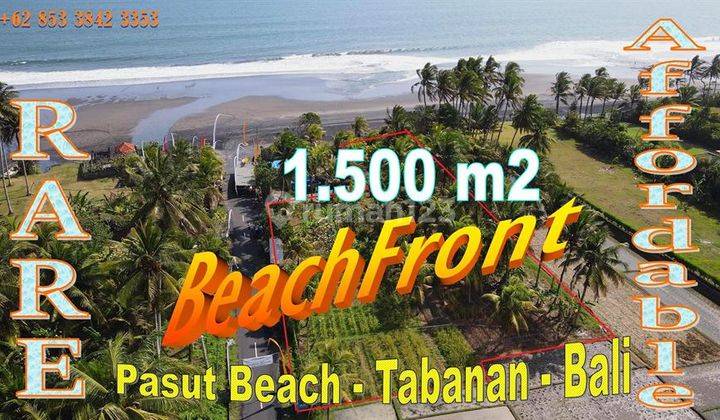 Strategis 15 are View laut dan Sawah, Hanya 25 mtr dari Pantai 1