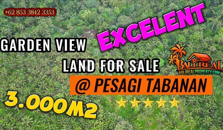 Tanah Kebun Dijual Murah 30 Are di Pesagi Penebel 1