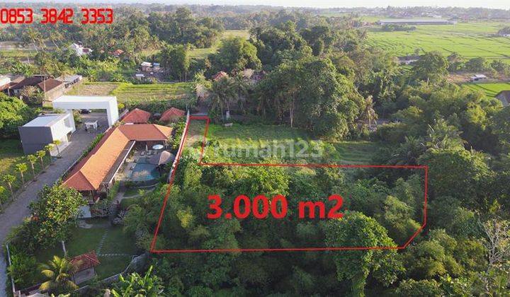 3,000 M2 With Jungle, River And Rice Fields View In Kediri 2