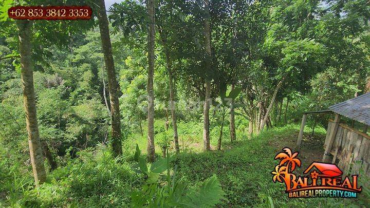 Under Market Price 1,800 Sqm In Ubud Tegalalang 2