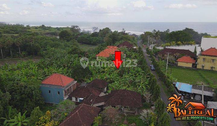 Beautiful Rice Field And Ocean View In Sudimara Tabanan  2