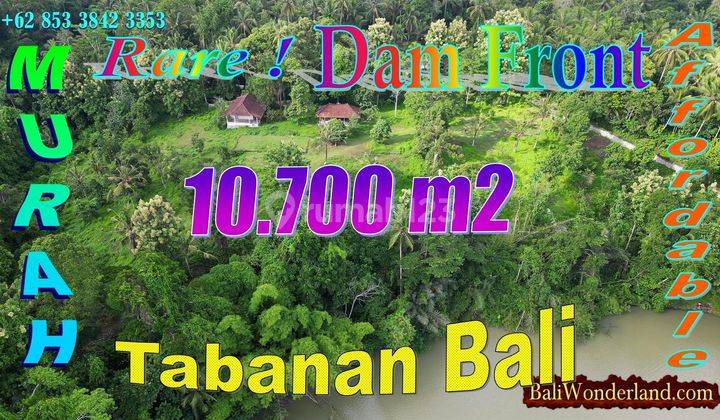 10,700 M2 With Telaga Tunjung Dam View In Penebel Tabanan 1