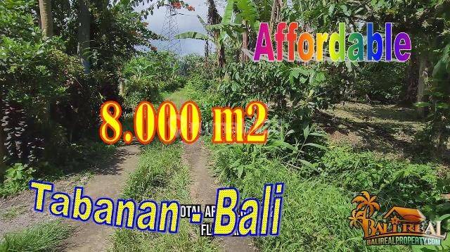 Under Market Price Land For Sale 8,000 Sqm In Pupuan Tabanan 1