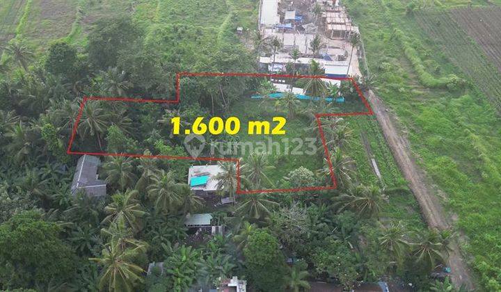 1,600 M2 With Rice Fields And Jungle View In Ubud Pejeng 2