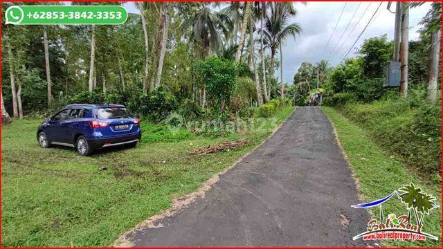 9,300 M2 Garden Land with Good Contour Concrete Road Access in Tabanan 2