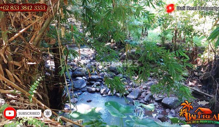 1,400 m2 with Magnificent View in Penebel Tabanan 2