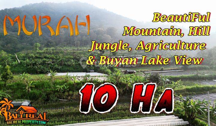 100,000 M2 With Agriculture Land And Buyan Lake View In Sukasada 1