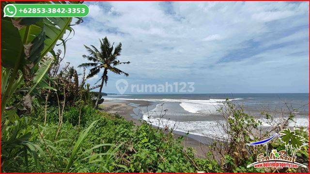 10,600 Sqm Land Sale For Investment In Selemadeg Barat Tabanan  2